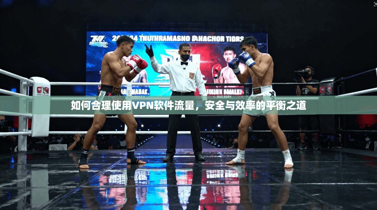 如何合理使用VPN软件流量，安全与效率的平衡之道