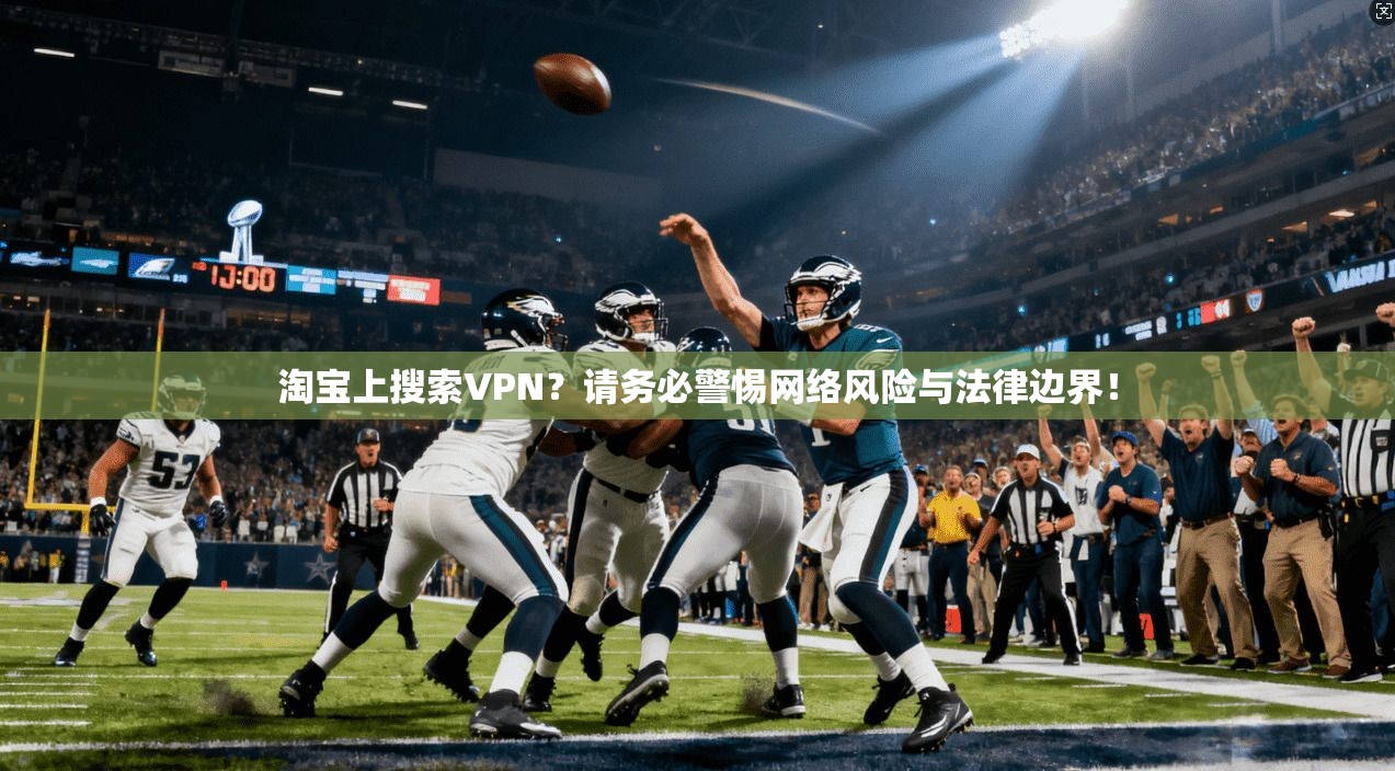 淘宝上搜索VPN？请务必警惕网络风险与法律边界！