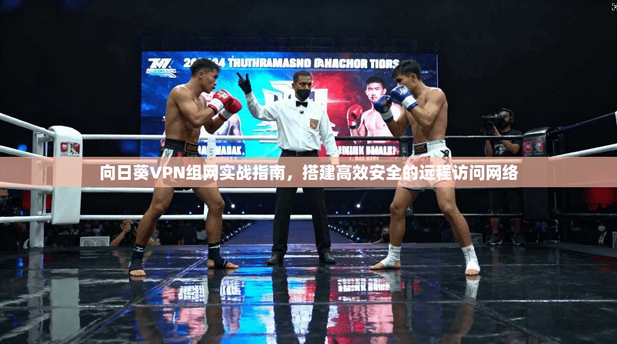 向日葵VPN组网实战指南，搭建高效安全的远程访问网络