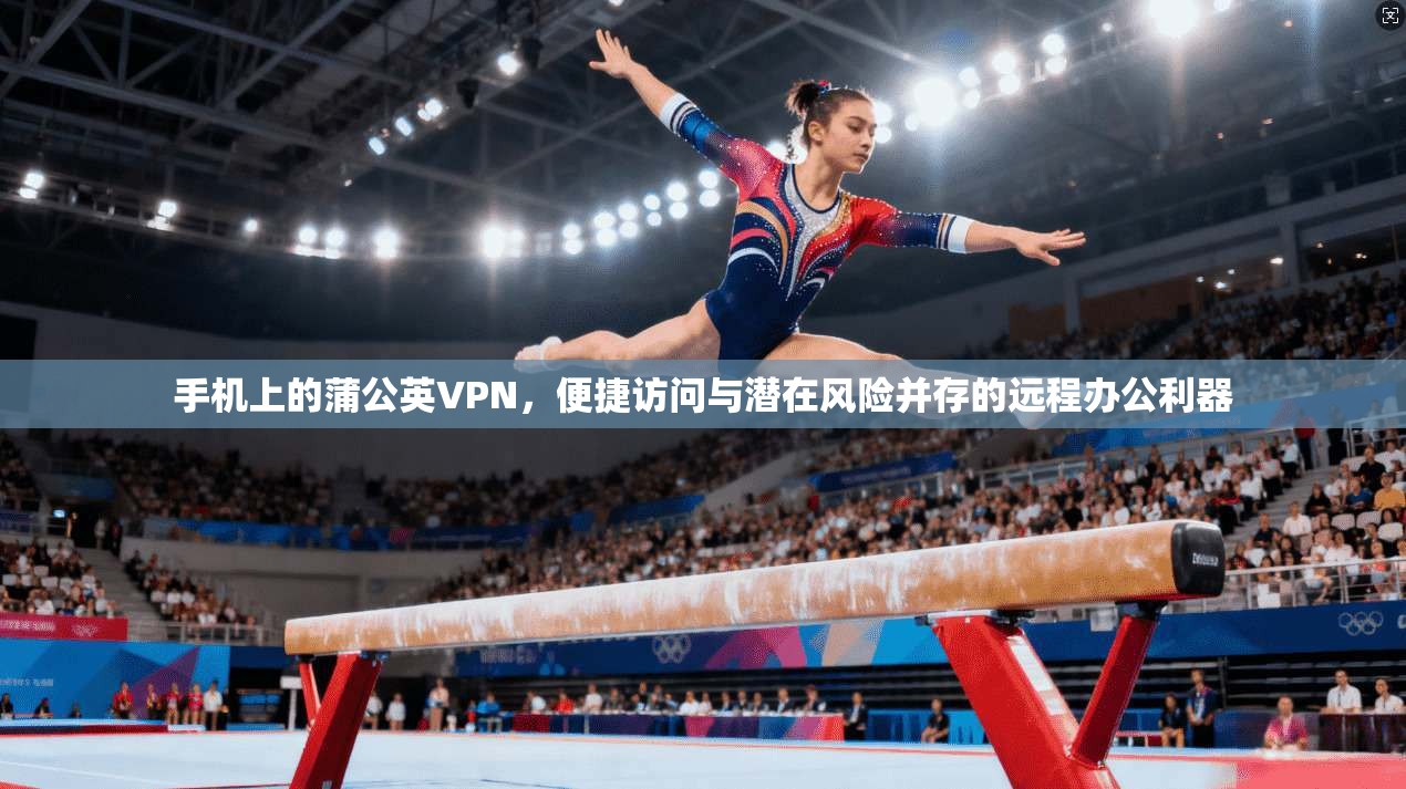手机上的蒲公英VPN，便捷访问与潜在风险并存的远程办公利器