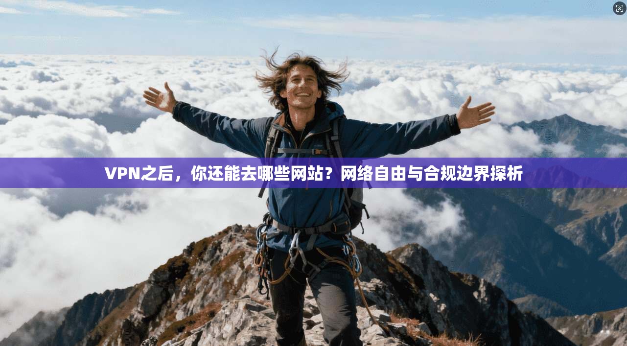 VPN之后，你还能去哪些网站？网络自由与合规边界探析