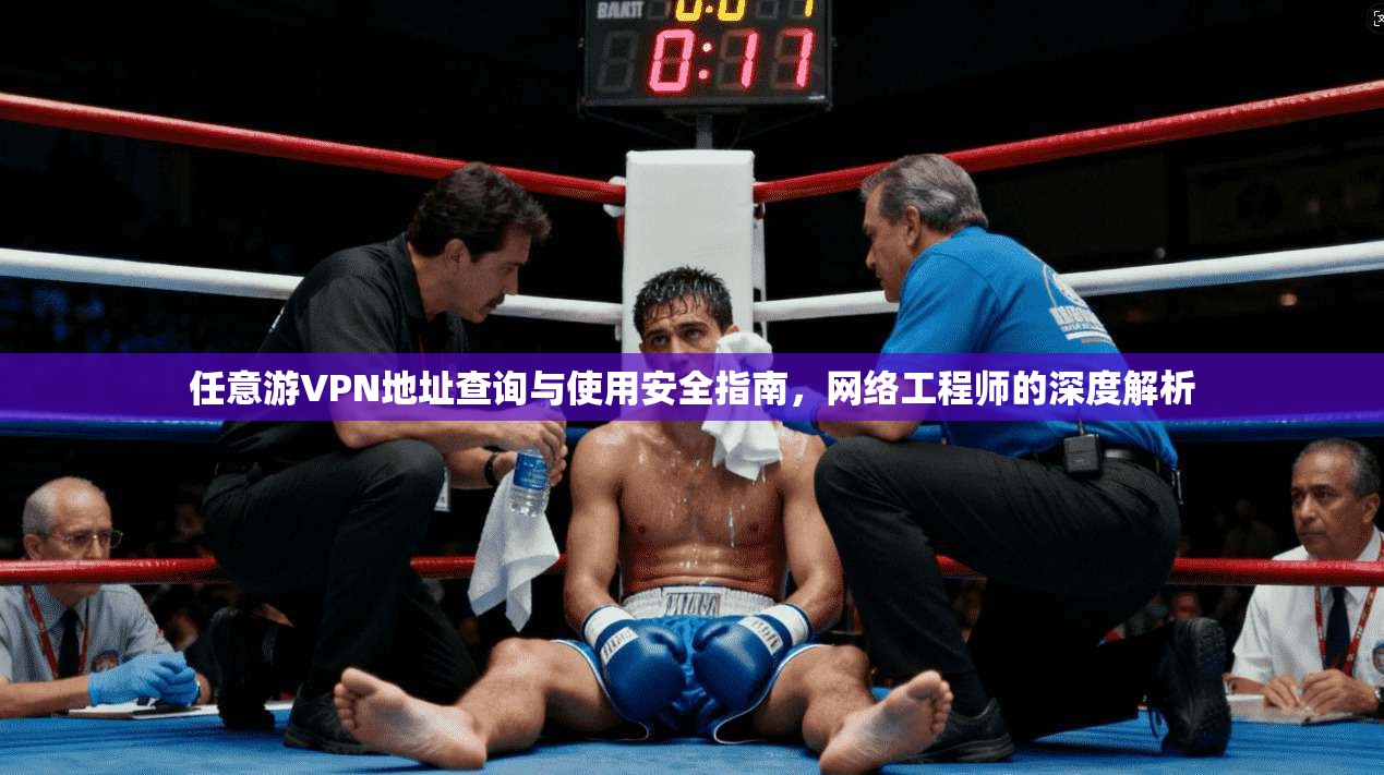 任意游VPN地址查询与使用安全指南，网络工程师的深度解析