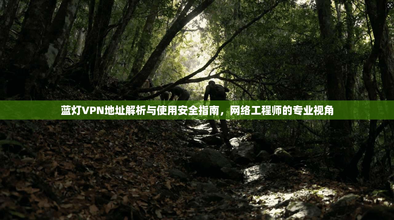 蓝灯VPN地址解析与使用安全指南，网络工程师的专业视角