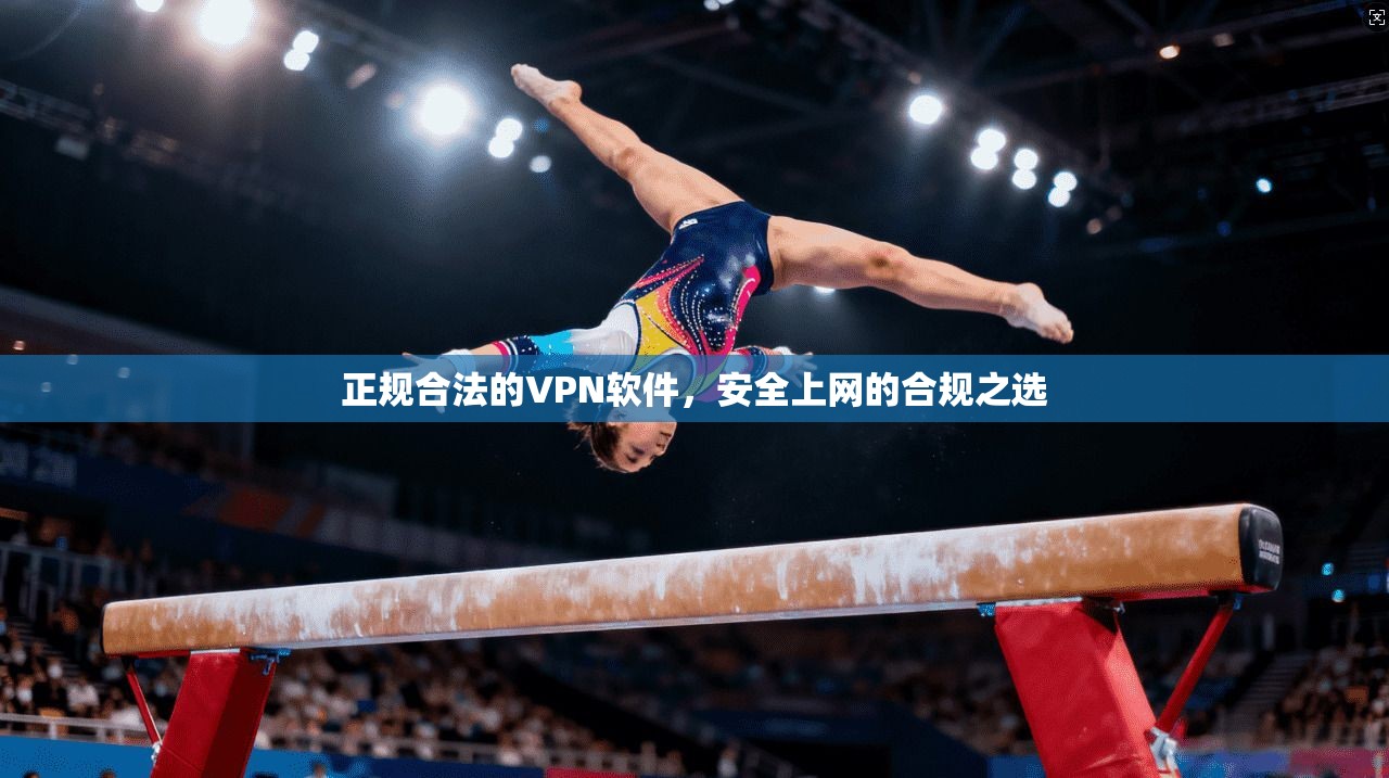 正规合法的VPN软件，安全上网的合规之选