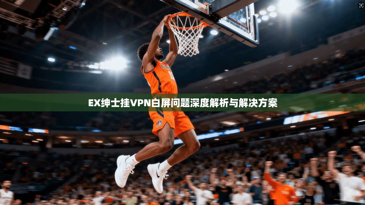 EX绅士挂VPN白屏问题深度解析与解决方案