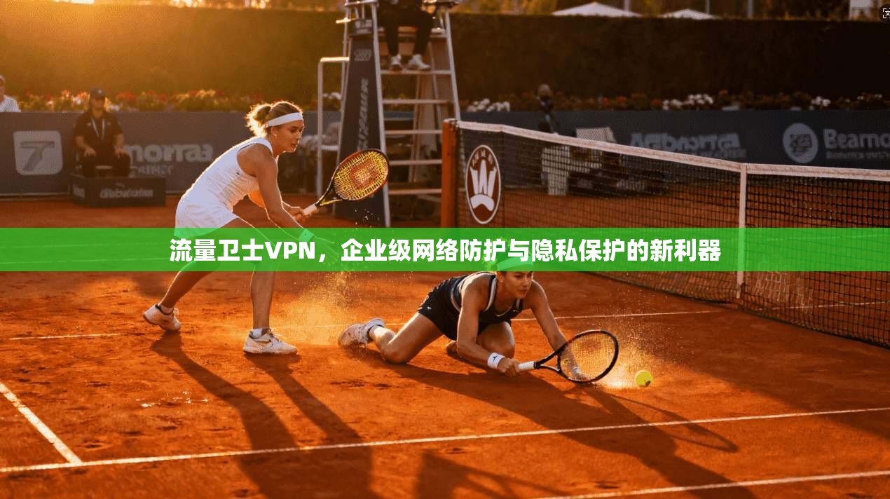 流量卫士VPN，企业级网络防护与隐私保护的新利器