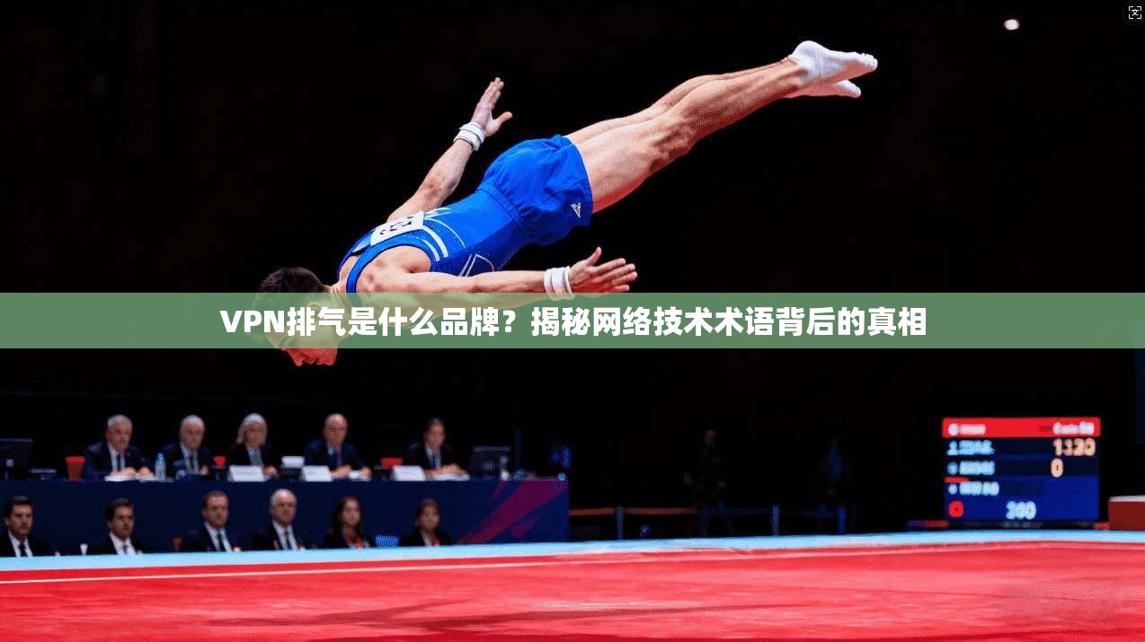 VPN排气是什么品牌？揭秘网络技术术语背后的真相