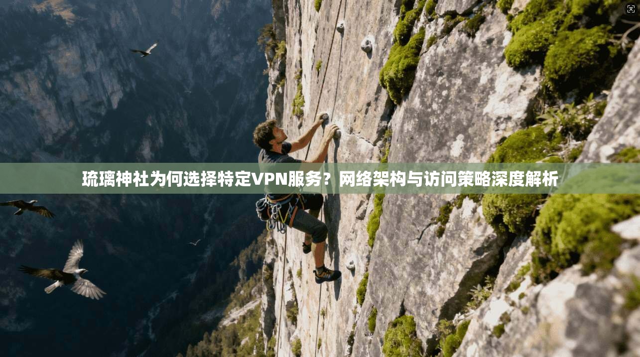 琉璃神社为何选择特定VPN服务？网络架构与访问策略深度解析