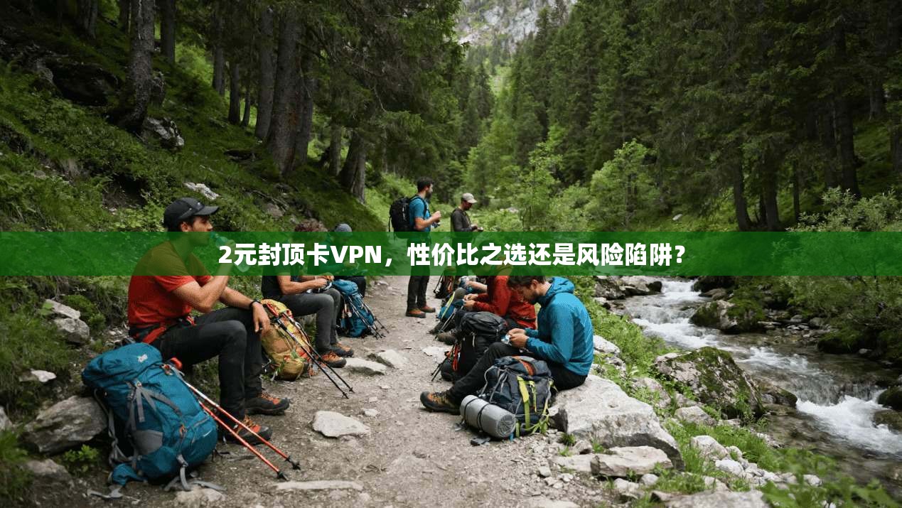 2元封顶卡VPN，性价比之选还是风险陷阱？