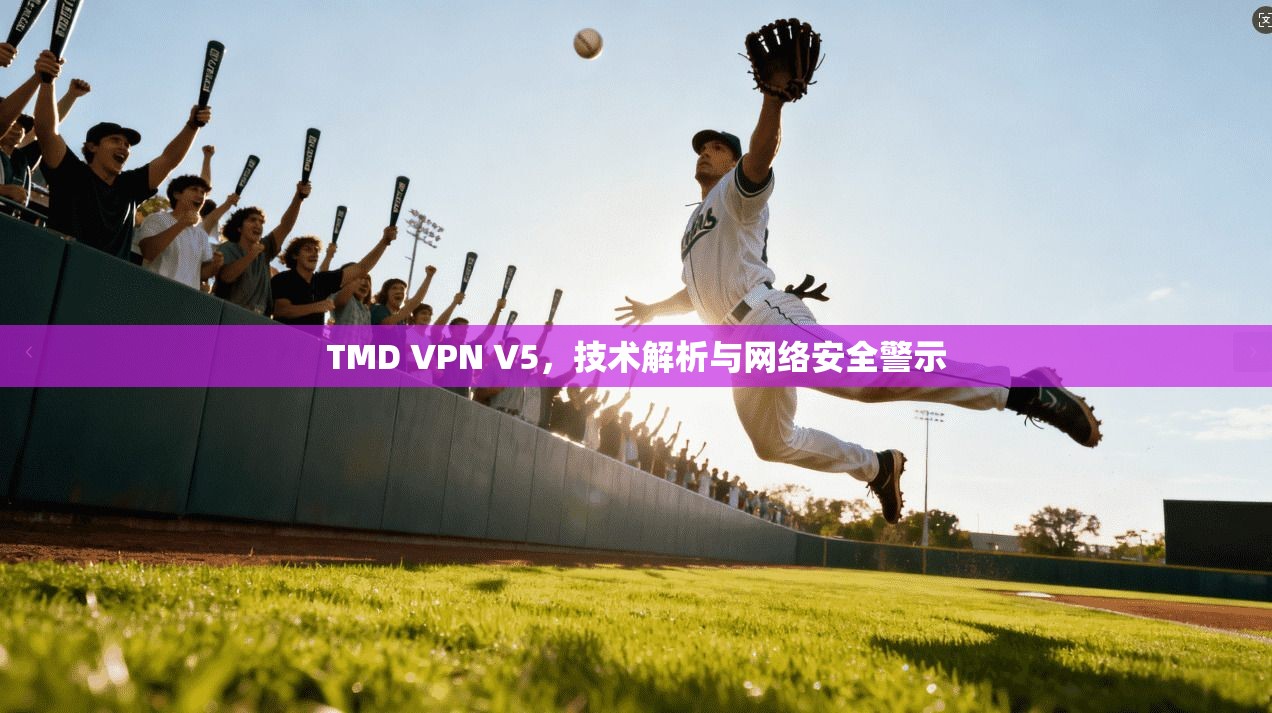 TMD VPN V5，技术解析与网络安全警示
