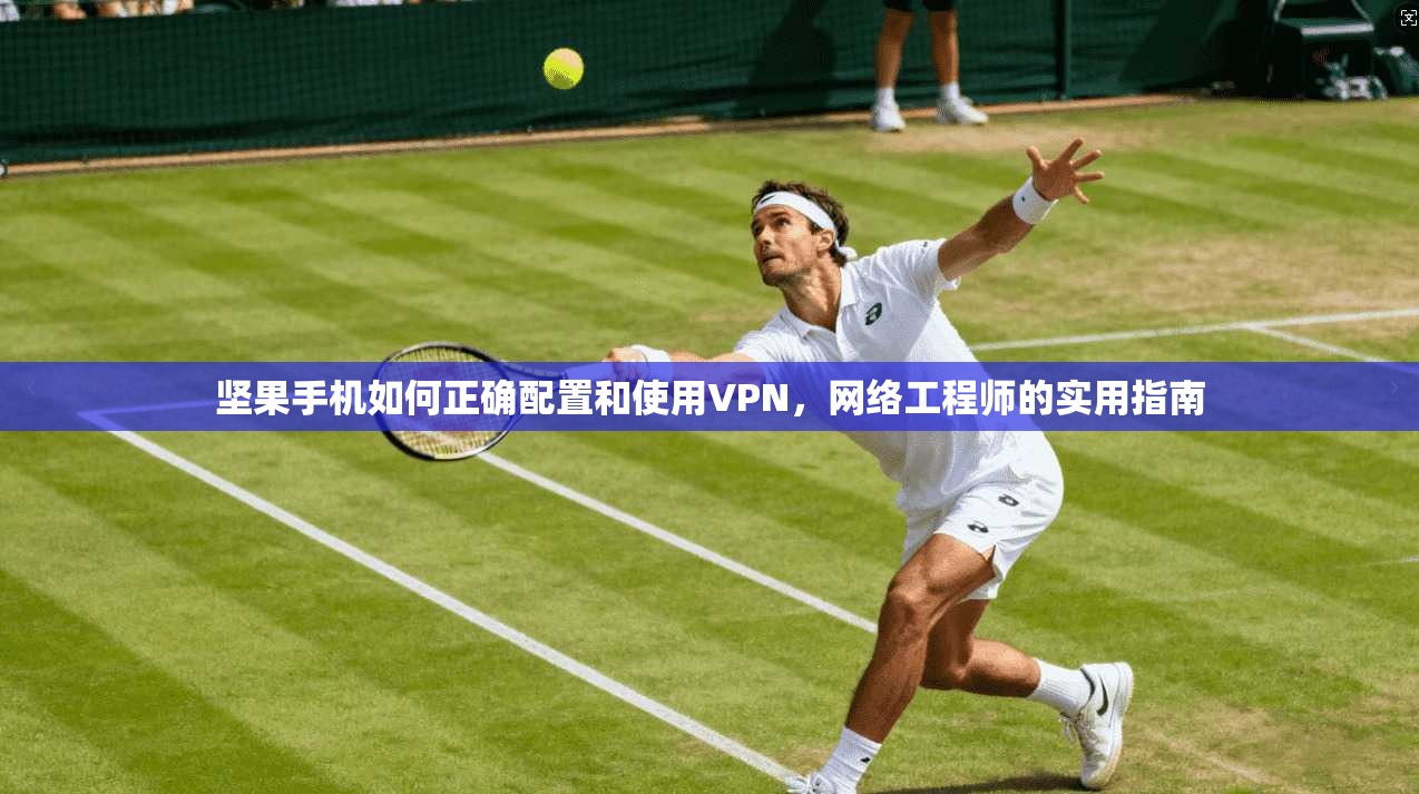 坚果手机如何正确配置和使用VPN，网络工程师的实用指南