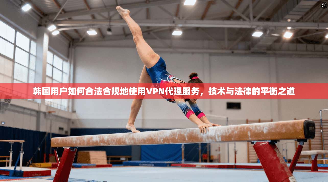韩国用户如何合法合规地使用VPN代理服务，技术与法律的平衡之道