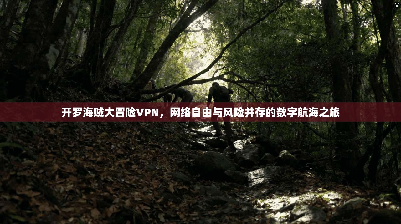 开罗海贼大冒险VPN，网络自由与风险并存的数字航海之旅