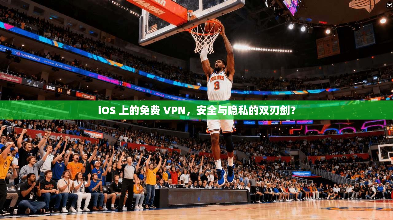 iOS 上的免费 VPN,安全与隐私的双刃剑?