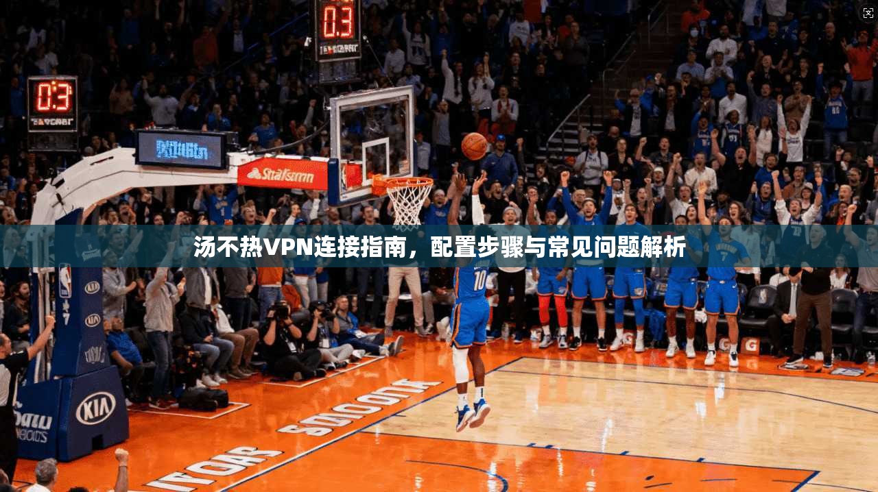 汤不热VPN连接指南，配置步骤与常见问题解析