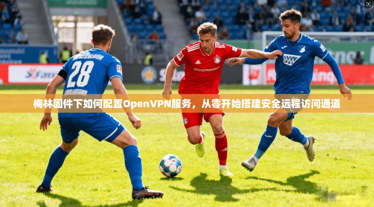 梅林固件下如何配置OpenVPN服务,从零开始搭建安全远程访问通道