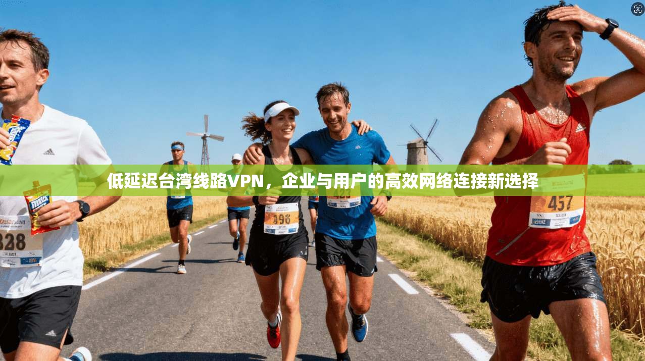 低延迟台湾线路VPN，企业与用户的高效网络连接新选择