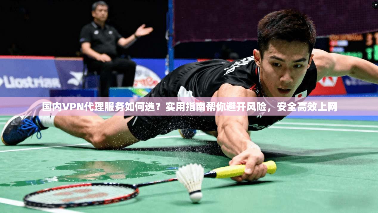国内VPN代理服务如何选？实用指南帮你避开风险，安全高效上网
