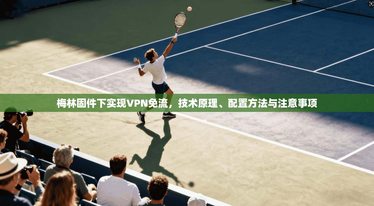 梅林固件下实现VPN免流，技术原理、配置方法与注意事项
