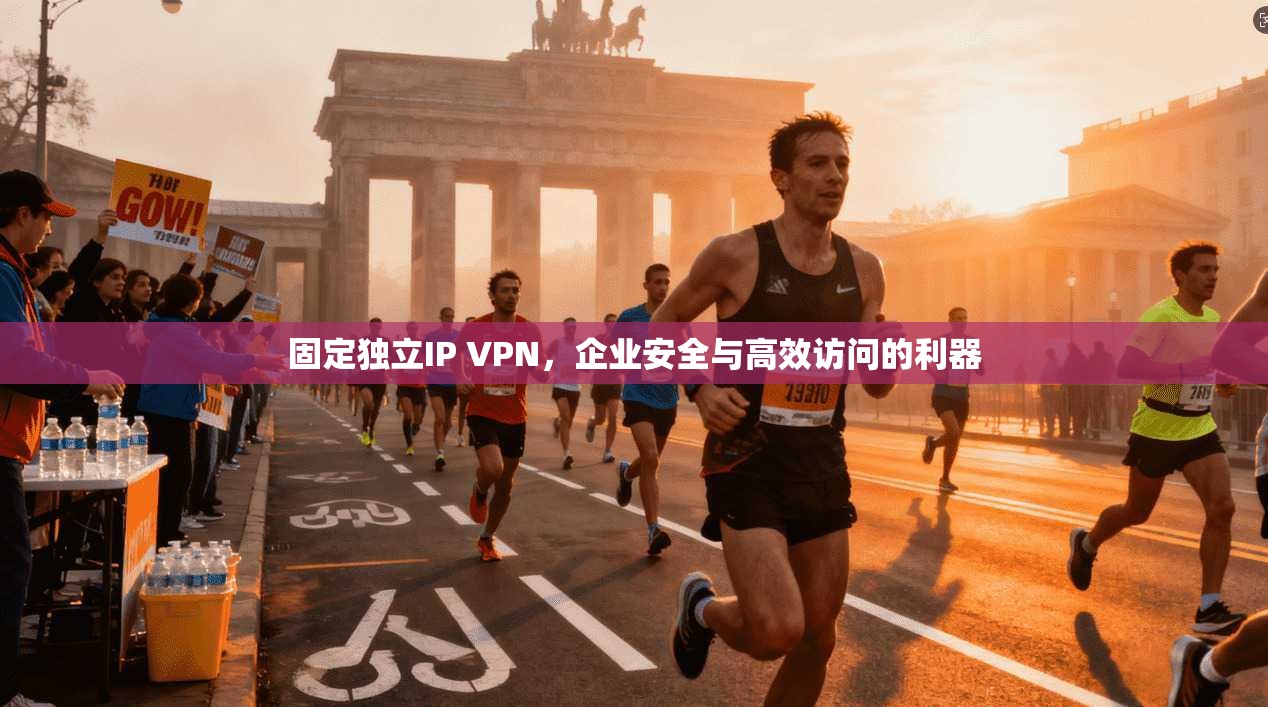 固定独立IP VPN，企业安全与高效访问的利器