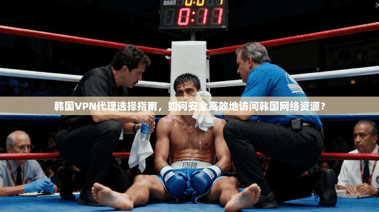 韩国VPN代理选择指南，如何安全高效地访问韩国网络资源？