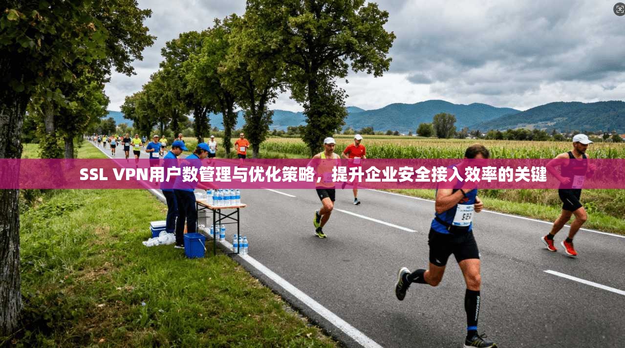 SSL VPN用户数管理与优化策略，提升企业安全接入效率的关键