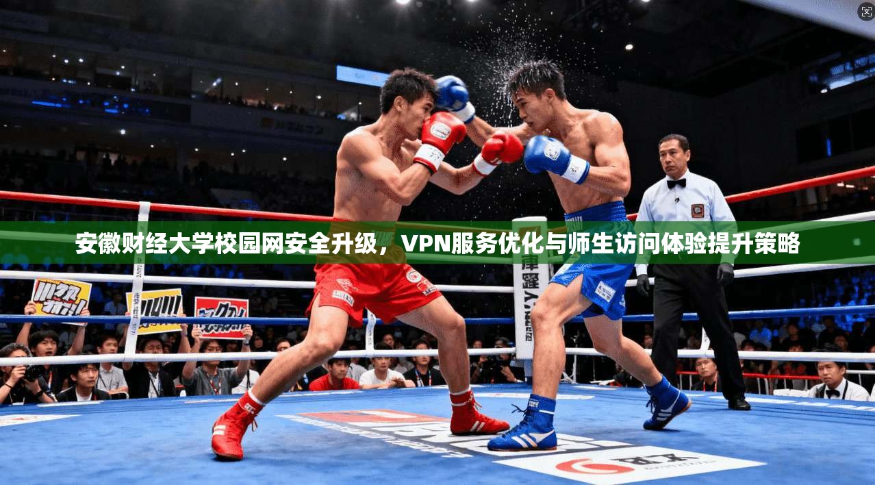 安徽财经大学校园网安全升级，VPN服务优化与师生访问体验提升策略