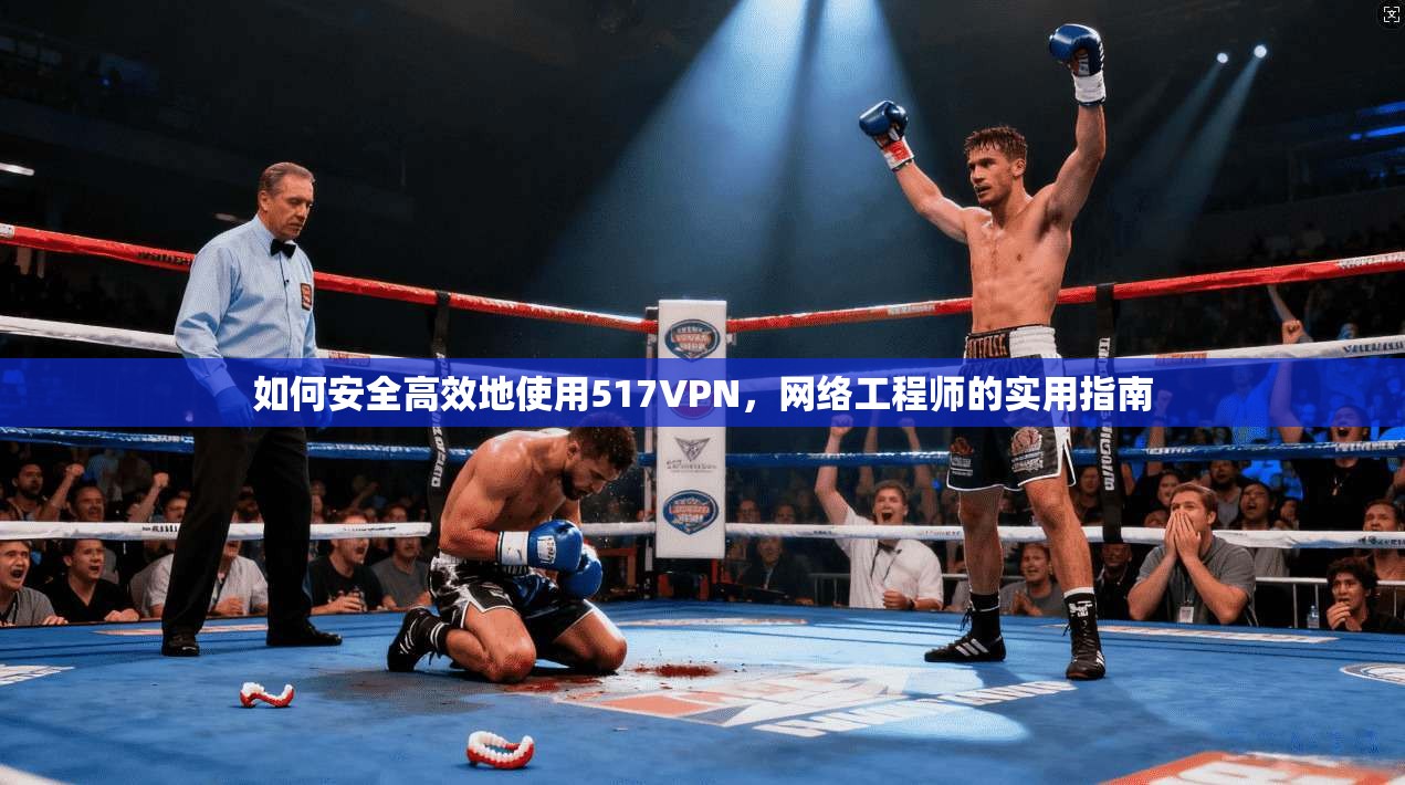 如何安全高效地使用517VPN，网络工程师的实用指南