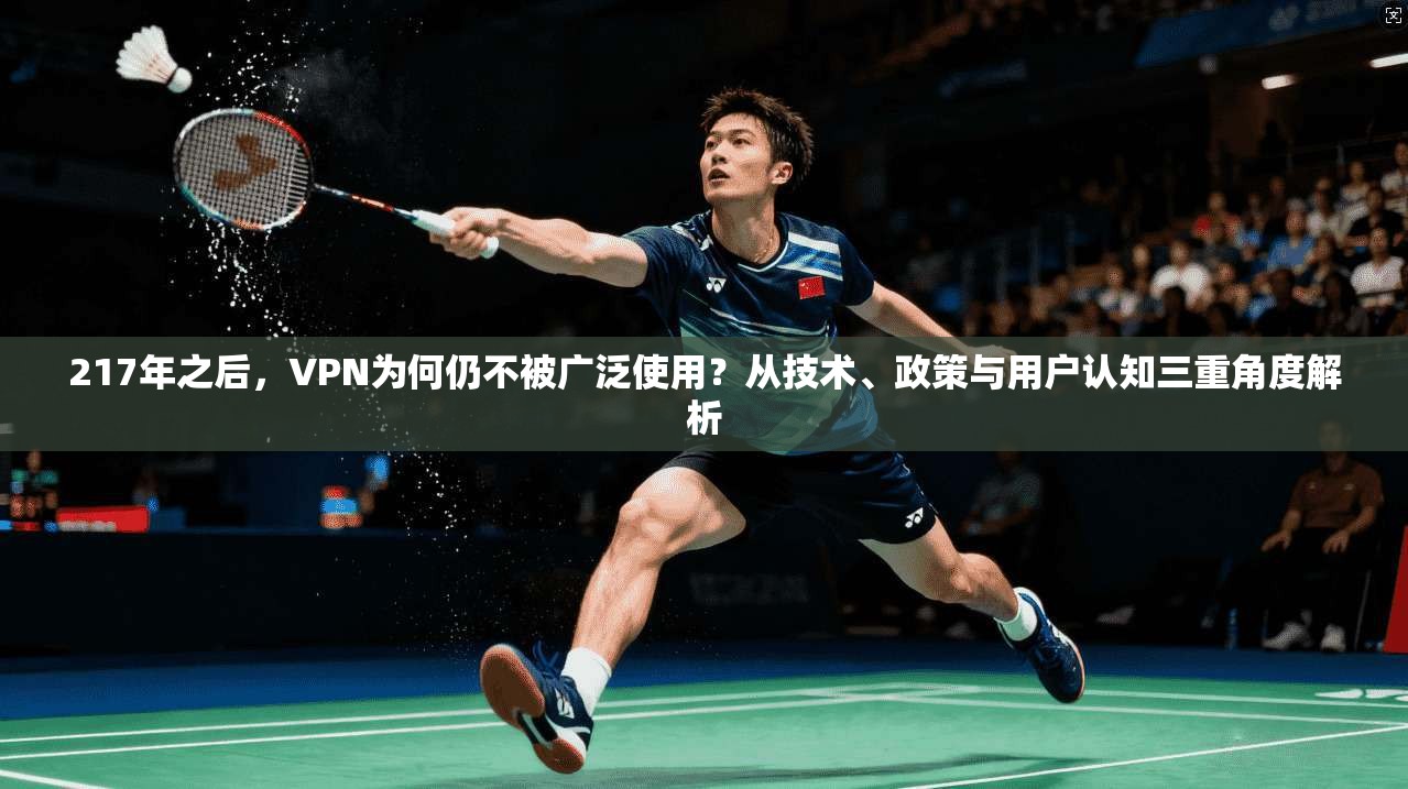 217年之后，VPN为何仍不被广泛使用？从技术、政策与用户认知三重角度解析