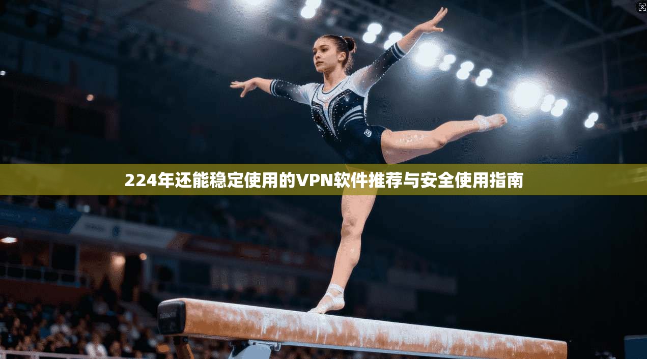 224年还能稳定使用的VPN软件推荐与安全使用指南