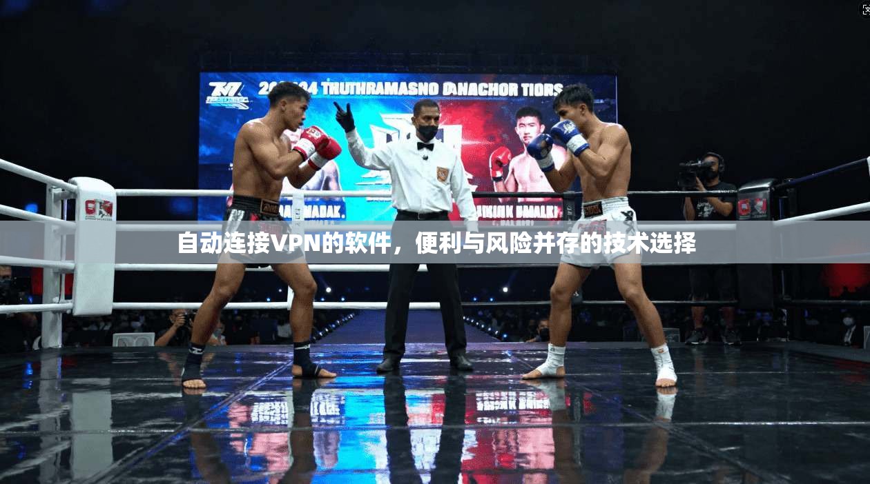 自动连接VPN的软件，便利与风险并存的技术选择