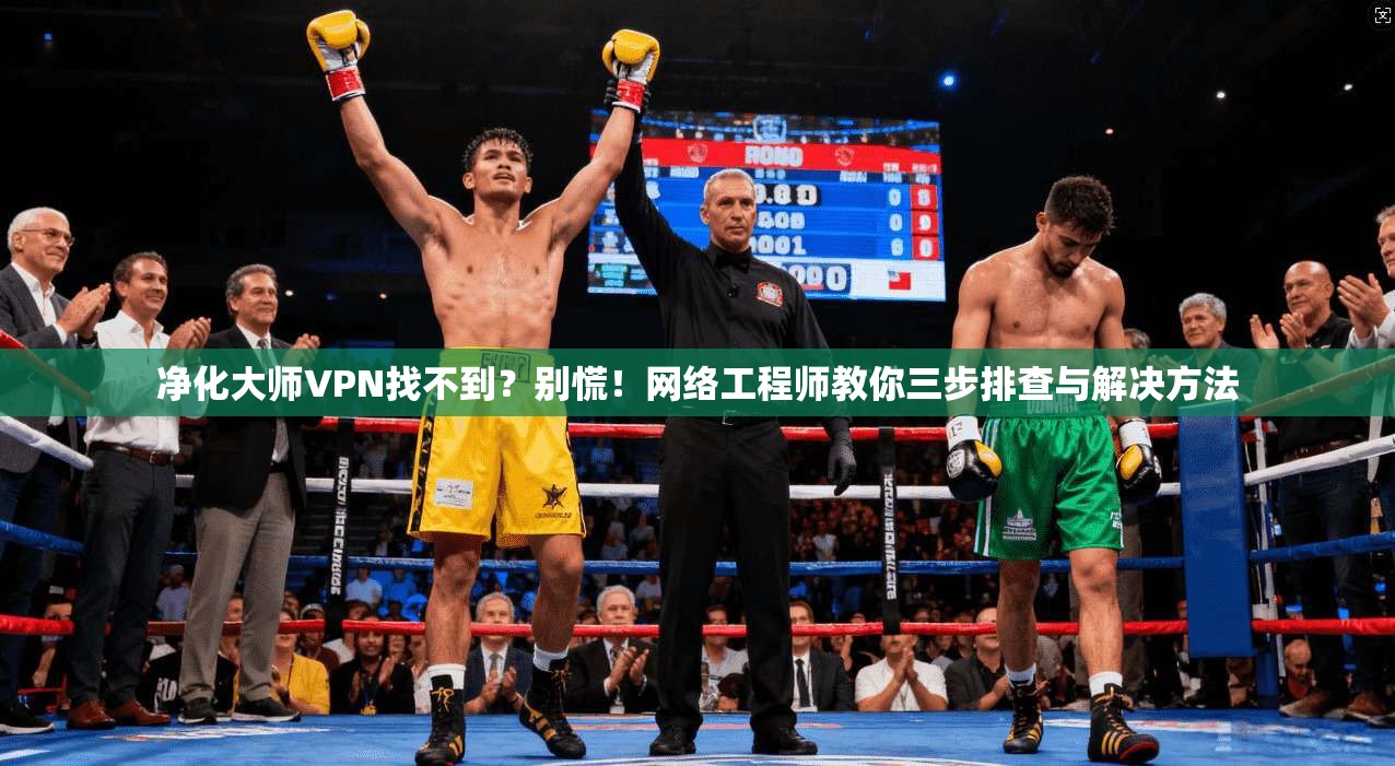 净化大师VPN找不到？别慌！网络工程师教你三步排查与解决方法