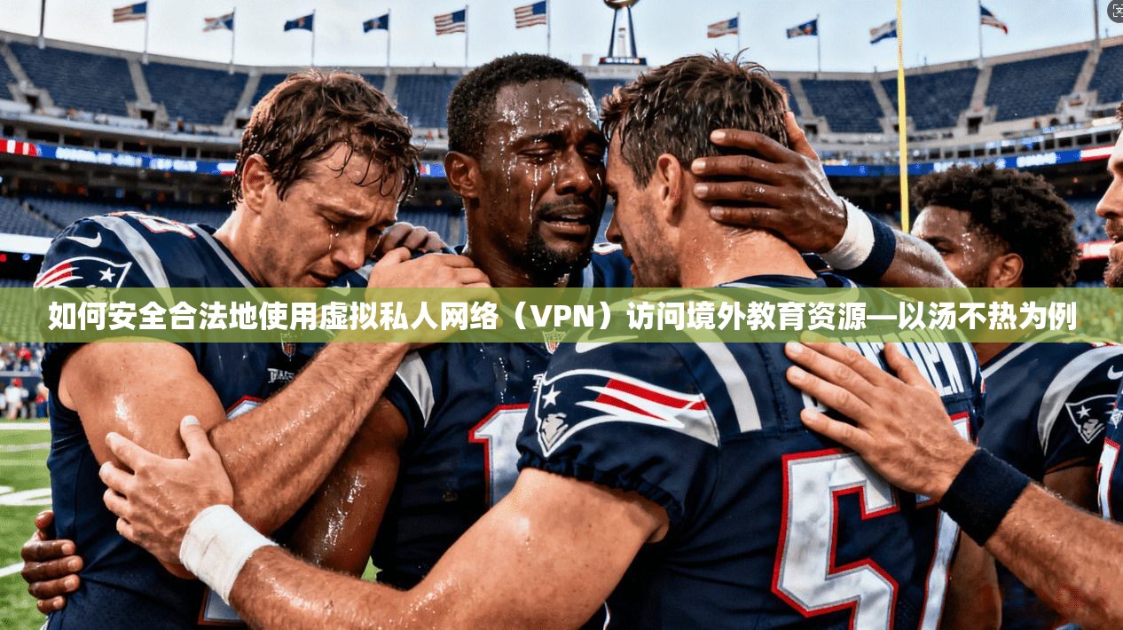 如何安全合法地使用虚拟私人网络（VPN）访问境外教育资源—以汤不热为例