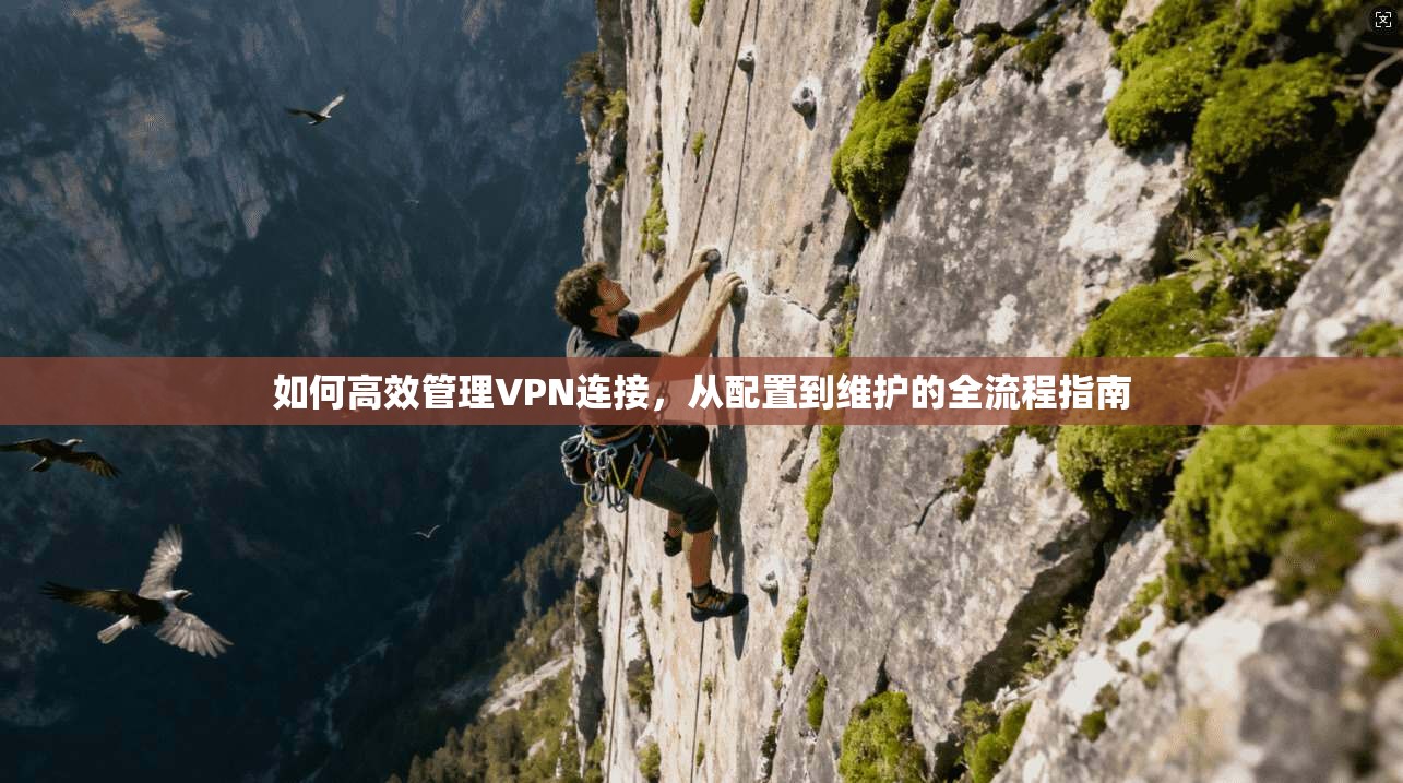如何高效管理VPN连接，从配置到维护的全流程指南