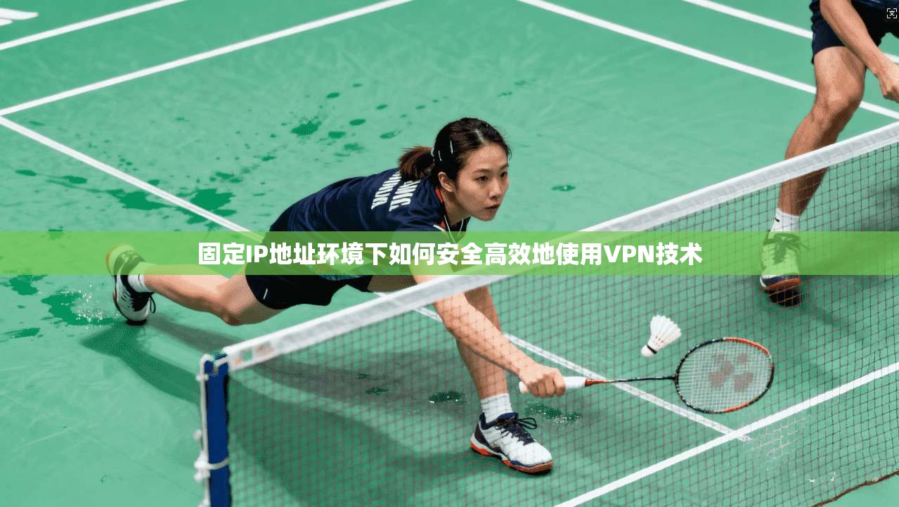 固定IP地址环境下如何安全高效地使用VPN技术