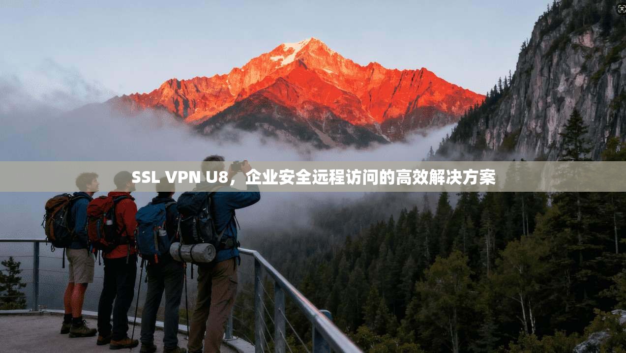SSL VPN U8，企业安全远程访问的高效解决方案