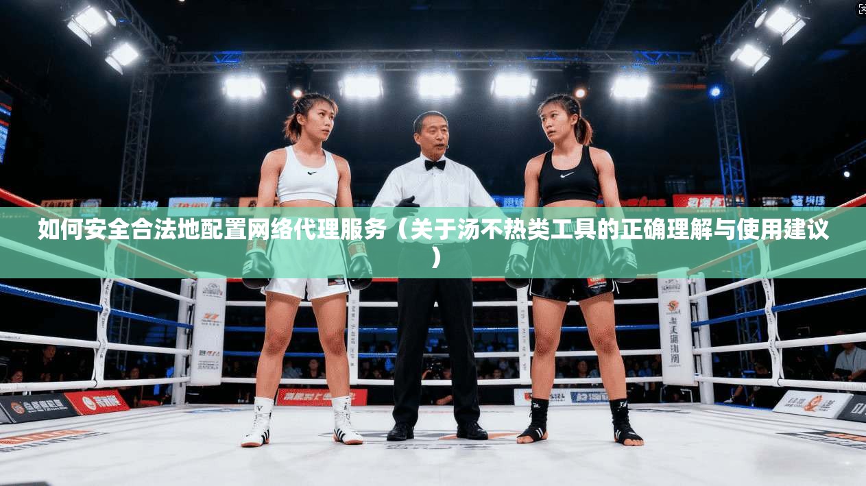 如何安全合法地配置网络代理服务（关于汤不热类工具的正确理解与使用建议）