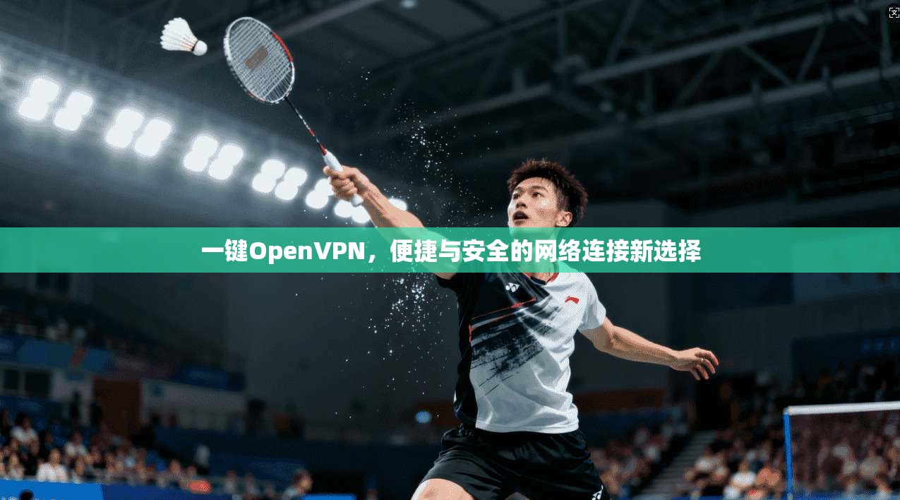 一键OpenVPN，便捷与安全的网络连接新选择