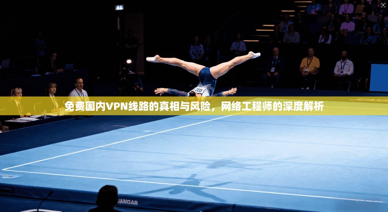免费国内VPN线路的真相与风险,网络工程师的深度解析