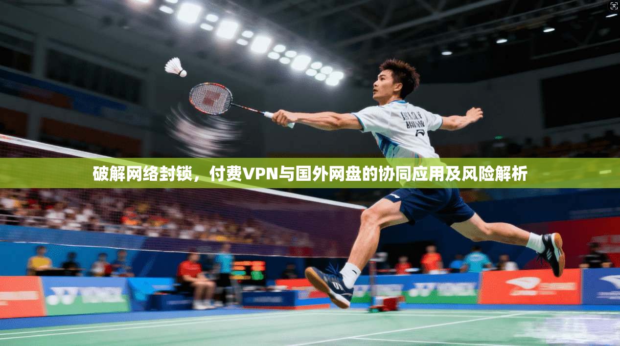 破解网络封锁，付费VPN与国外网盘的协同应用及风险解析