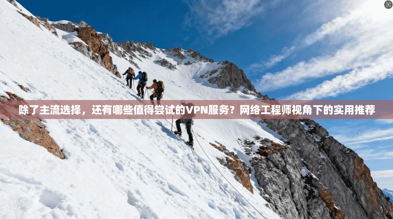 除了主流选择，还有哪些值得尝试的VPN服务？网络工程师视角下的实用推荐