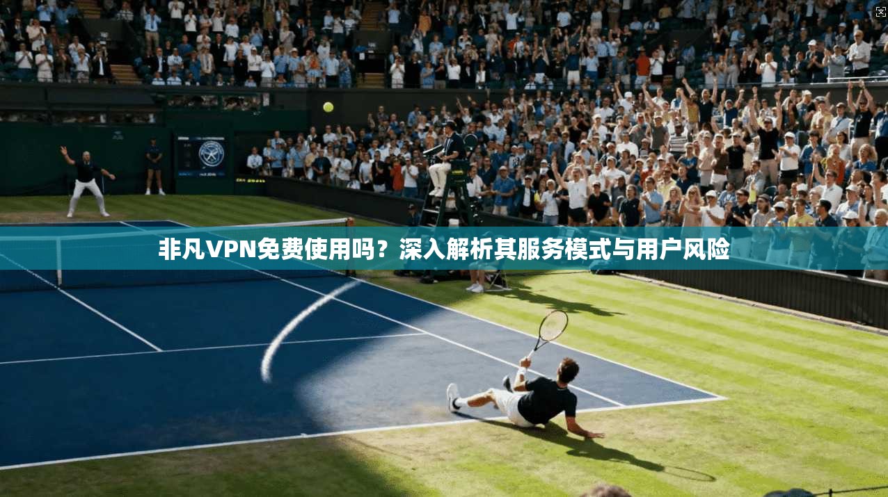 非凡VPN免费使用吗?深入解析其服务模式与用户风险