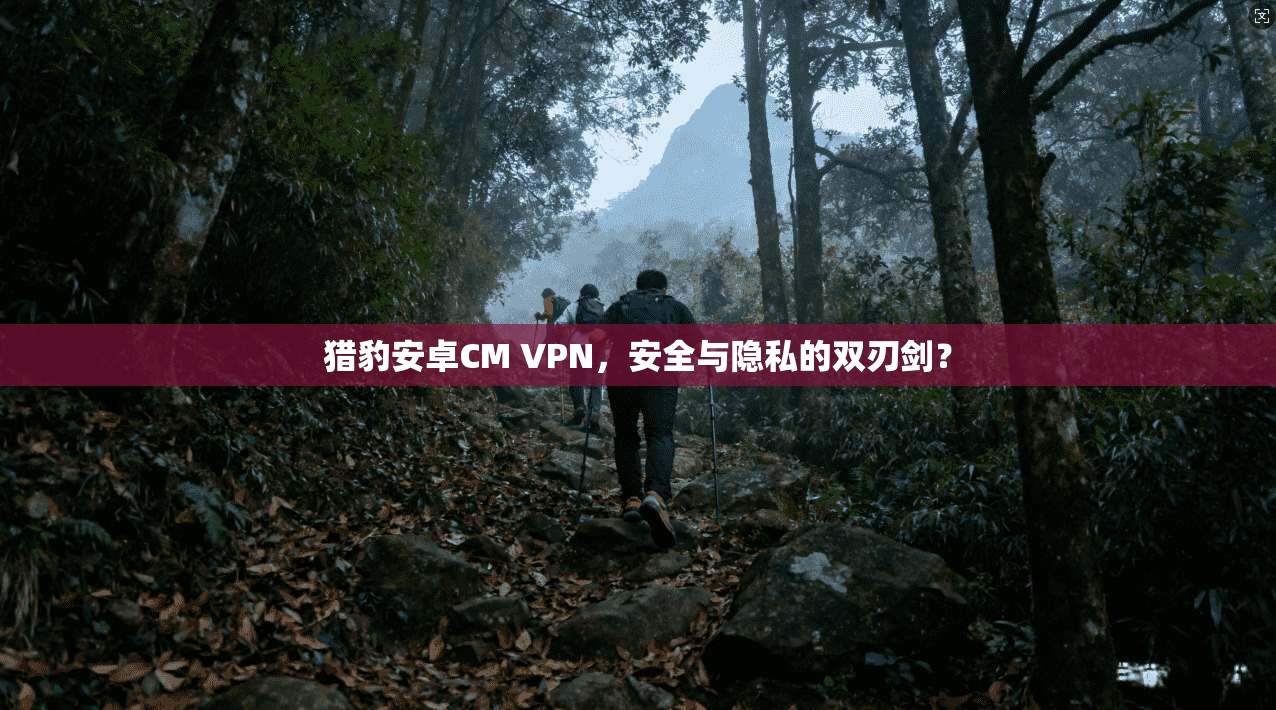 猎豹安卓CM VPN，安全与隐私的双刃剑？