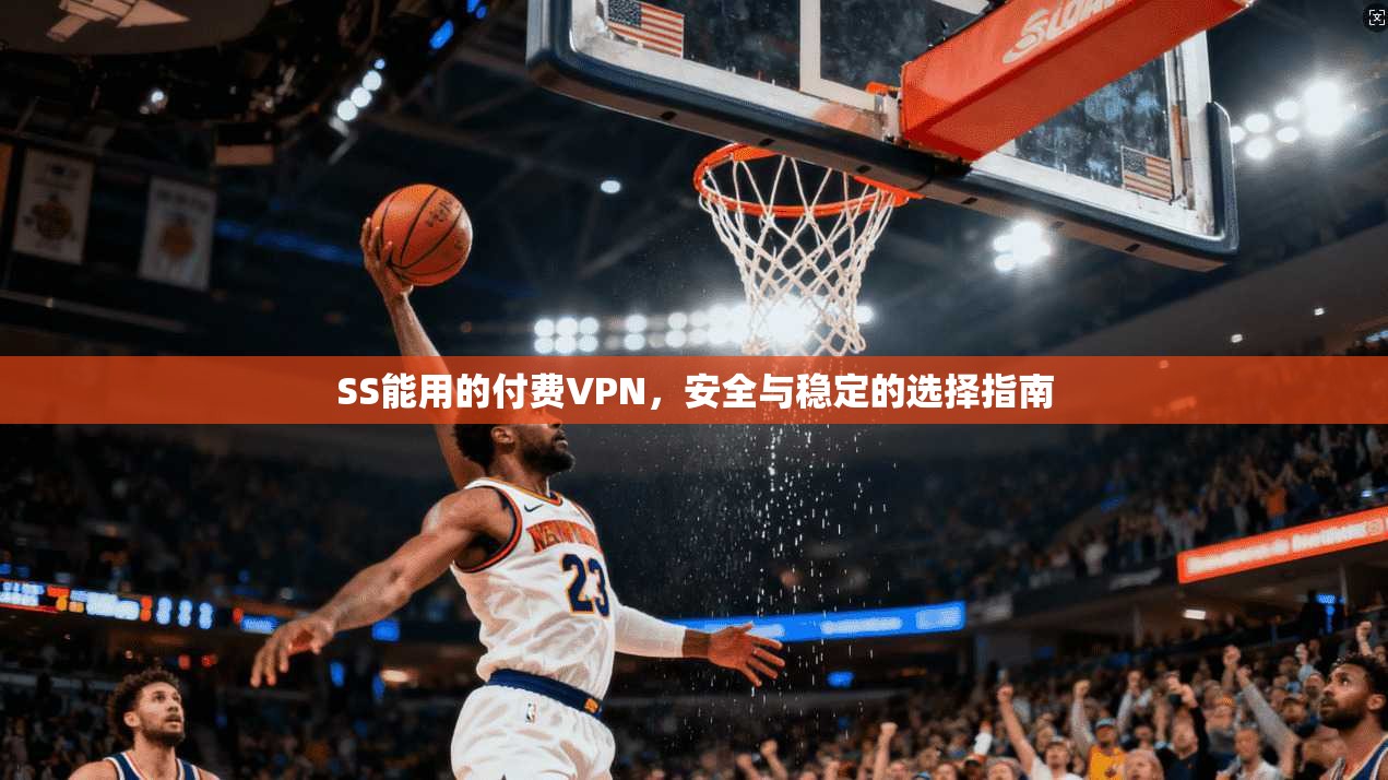 SS能用的付费VPN,安全与稳定的选择指南