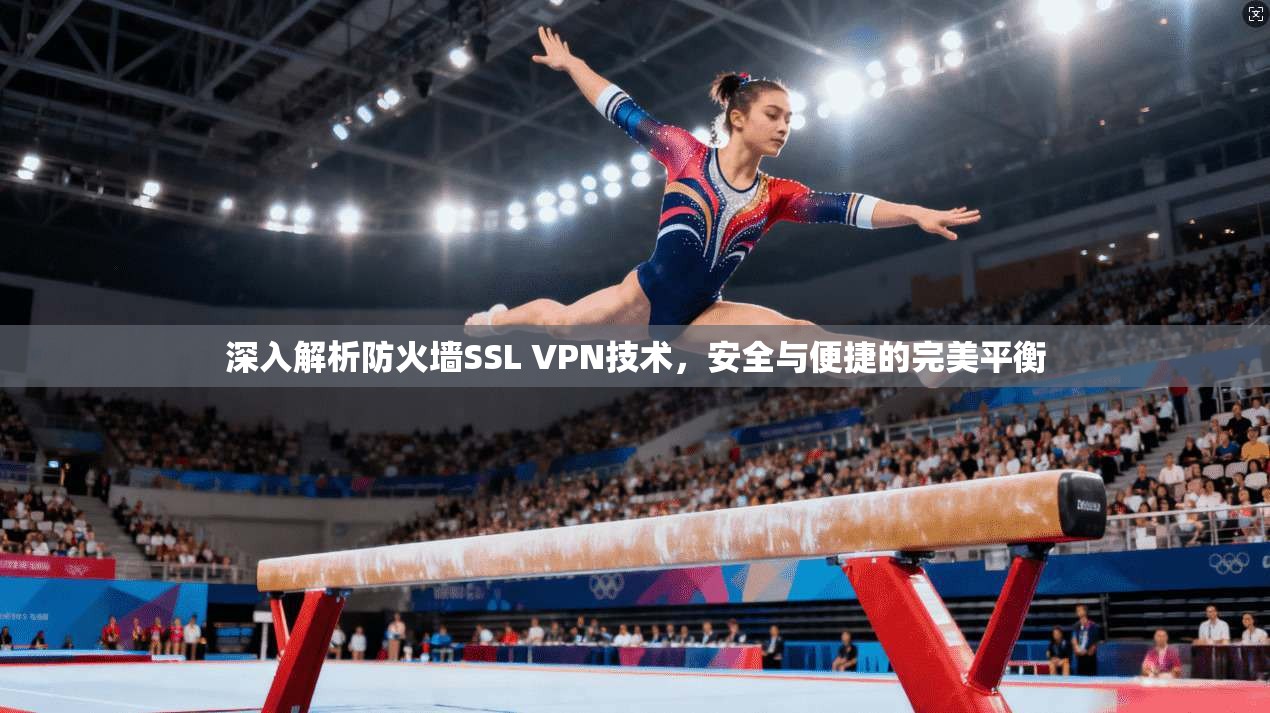 深入解析防火墙SSL VPN技术，安全与便捷的完美平衡