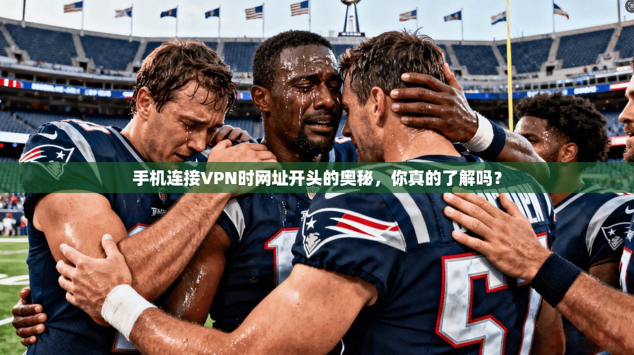 手机连接VPN时网址开头的奥秘，你真的了解吗？