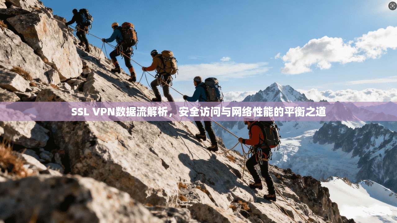 SSL VPN数据流解析，安全访问与网络性能的平衡之道