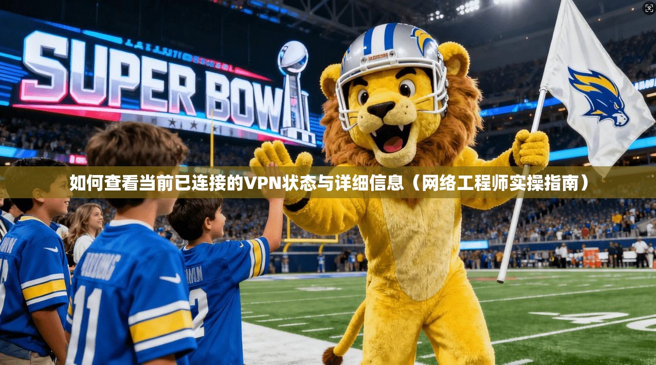如何查看当前已连接的VPN状态与详细信息（网络工程师实操指南）