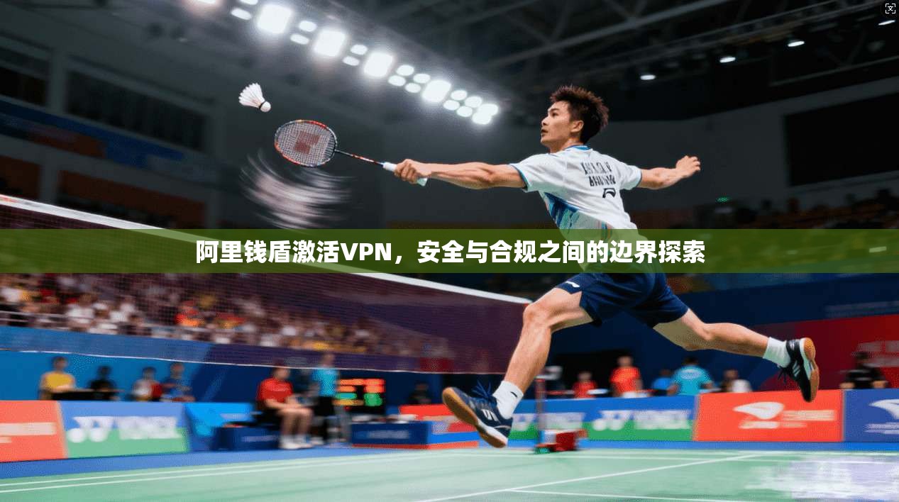 阿里钱盾激活VPN，安全与合规之间的边界探索