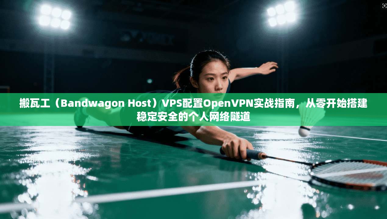 搬瓦工（Bandwagon Host）VPS配置OpenVPN实战指南，从零开始搭建稳定安全的个人网络隧道